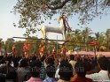 mangad-pooram-2012 (47)